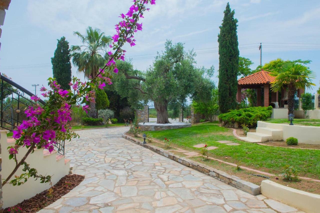 Villa Anna Nea Skioni Buitenkant foto